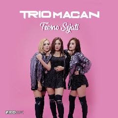 Download Lagu Trio Macan - Tresno Sejati MP3
