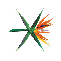 Download Lagu EXO - Ko Ko Bop MP3